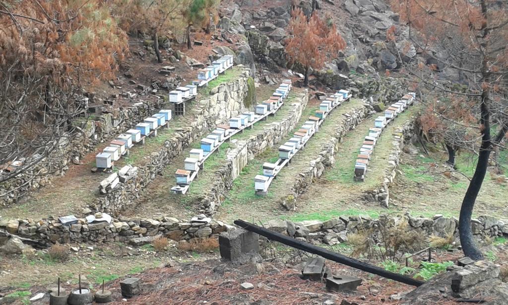 Villa Charme Da Montanha Montaria Esterno foto